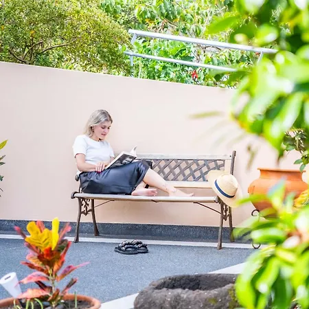 Palm Tree House By Homie Vakantiehuis *