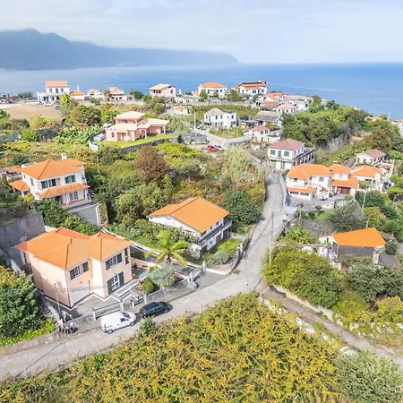 Palm Tree House By Madeira Sun Travel Σπίτι διακοπών