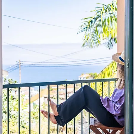 Palm Tree House By Madeira Sun Travel
