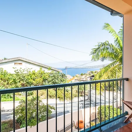 Palm Tree House By Homie *