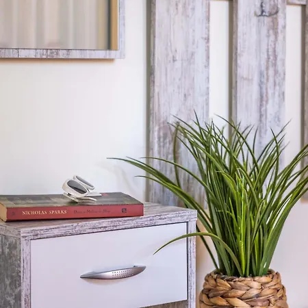 Palm Tree House By Homie Ponta Delgada (Madeira)