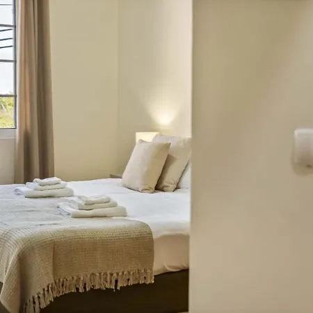 Palm Tree House By Homie