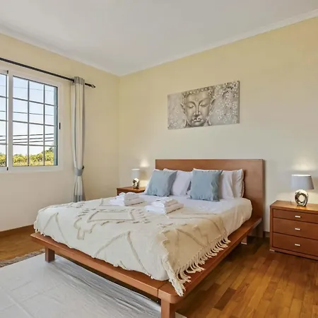 Palm Tree House By Homie Semesterbostad Ponta Delgada (Madeira)