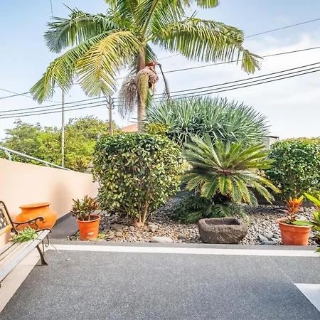 Palm Tree House By Homie 펜션 *