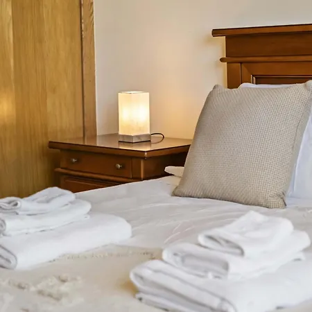 Palm Tree House By Homie Ponta Delgada (Madeira)