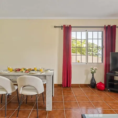 Palm Tree House By Homie * 폰타델가다