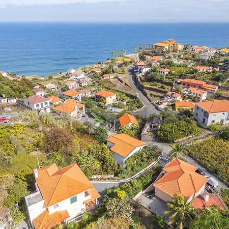 펜션 Palm Tree House By Homie