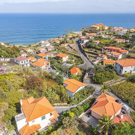 Casa vacanze Palm Tree House By Madeira Sun Travel