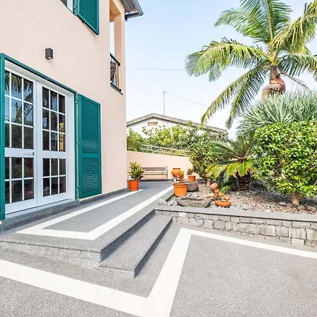 Palm Tree House By Homie *