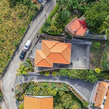 Palm Tree House By Homie Semesterbostad *