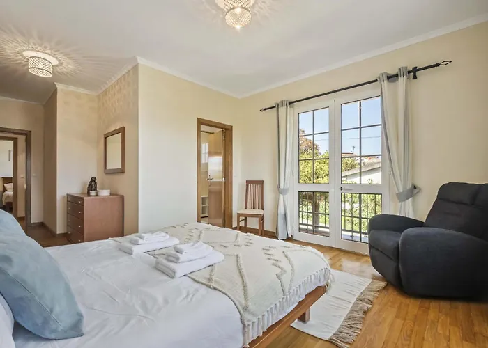 Palm Tree House By Homie 度假居 蓬塔德尔加达