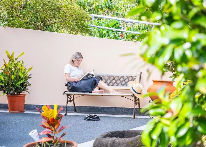 Palm Tree House By Homie 度假居 *