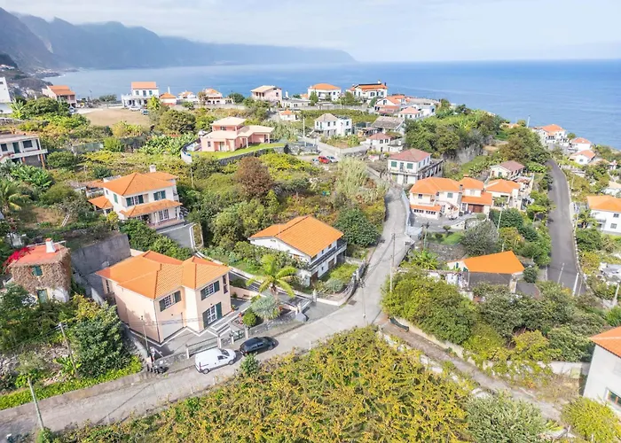 Palm Tree House By Homie 度假居