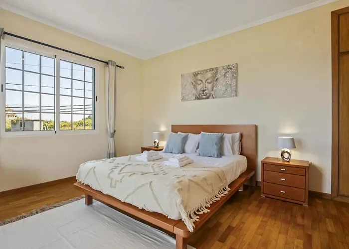 Palm Tree House By Homie 度假居 蓬塔德尔加达