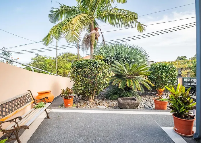 Palm Tree House By Homie 度假居 *