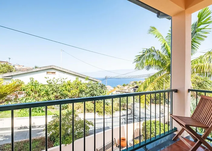 Palm Tree House By Homie *