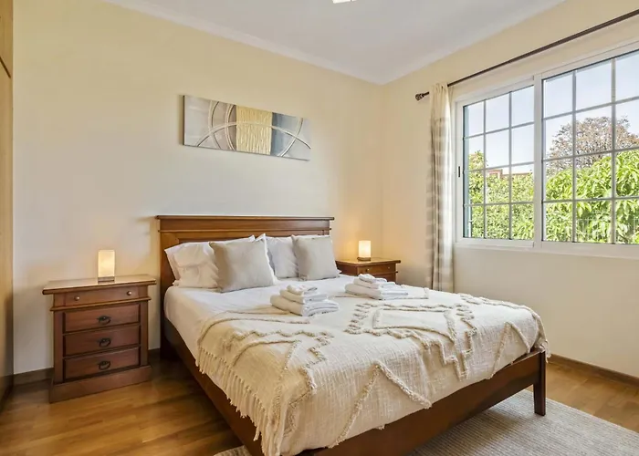 度假居 Palm Tree House By Homie