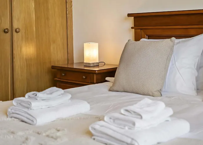 Palm Tree House By Homie 蓬塔德尔加达