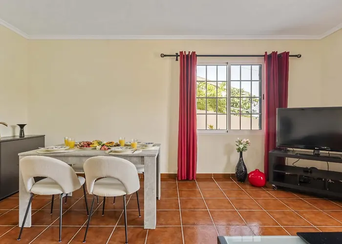 Palm Tree House By Homie * 蓬塔德尔加达