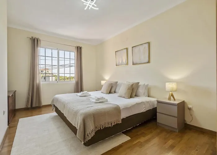 Palm Tree House By Homie 度假居 蓬塔德尔加达