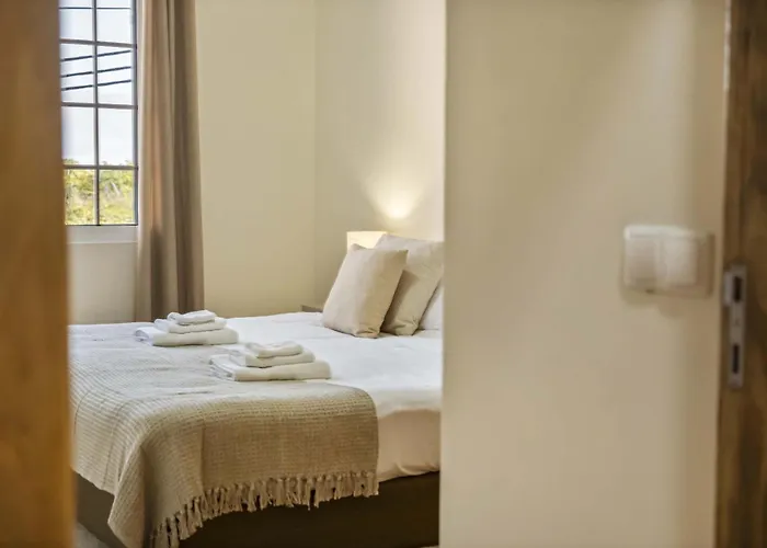 Palm Tree House By Homie