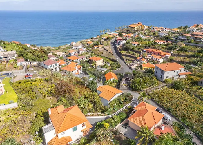 度假居 Palm Tree House By Homie