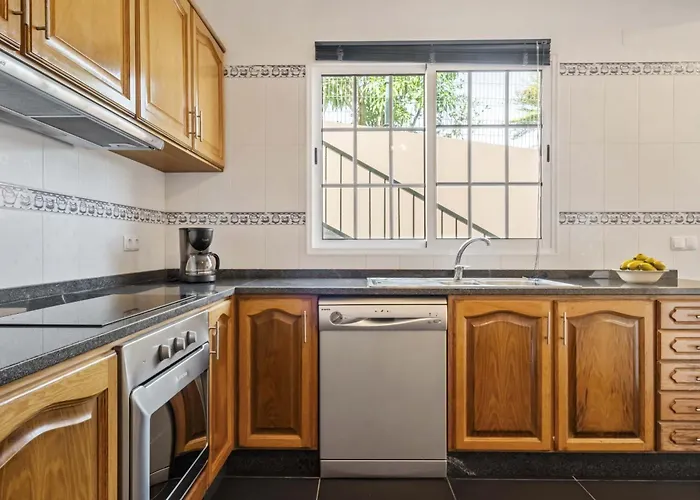 Palm Tree House By Homie Ponta Delgada (Madeira)