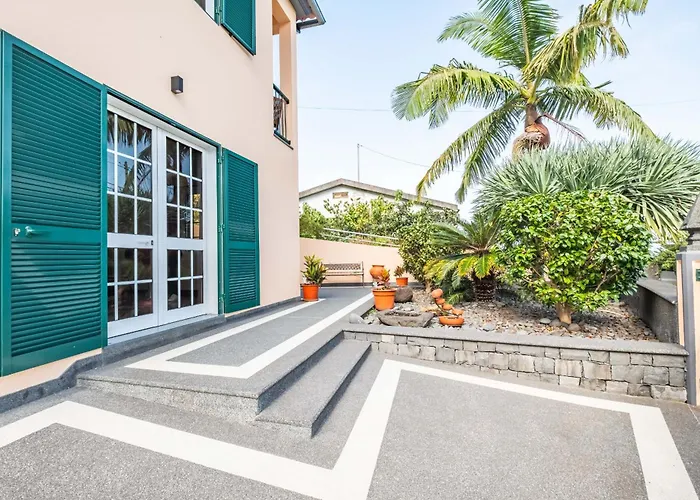 Palm Tree House By Homie *