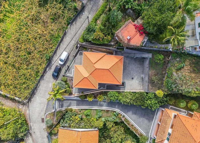 Palm Tree House By Homie 度假居 *